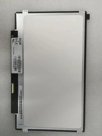 comprare BOE 11,6