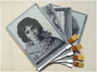 Un buon prezzo. Display di inchiostro E originale da 6,0 pollici 600×800 SVGA con 34 pin Collegatore per Kindle E Paper Module in linea